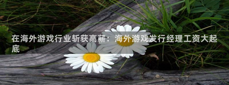 门徒娱乐怎么注册会员：在海外游戏行业斩获高薪：海外游戏发行经理工资大起
底