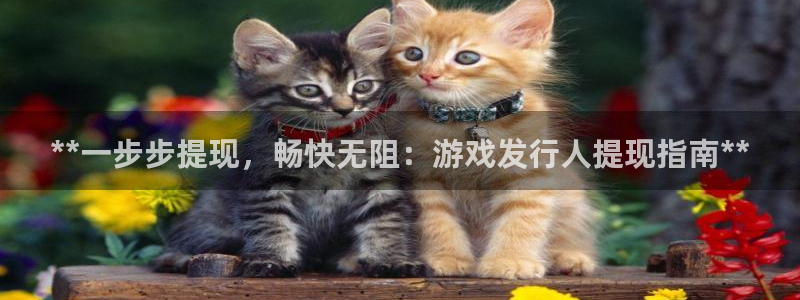 门徒娱乐平台登录地址在哪：**一步步提现，畅快无阻：游戏发行人提现指南**