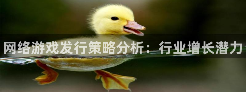 门徒娱乐联3.7.9.9.7 主管：网络游戏发行策略分析：行业增长潜力
