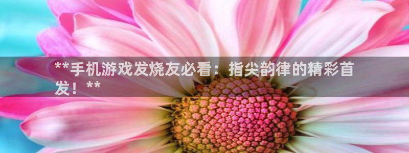 门徒娱乐充值安全吗可靠吗：**手机游戏发烧友必看：指尖韵律的精彩首
发！**