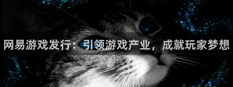 门徒娱乐创始人简介是谁：网易游戏发行：引领游戏产业，成就玩家梦想