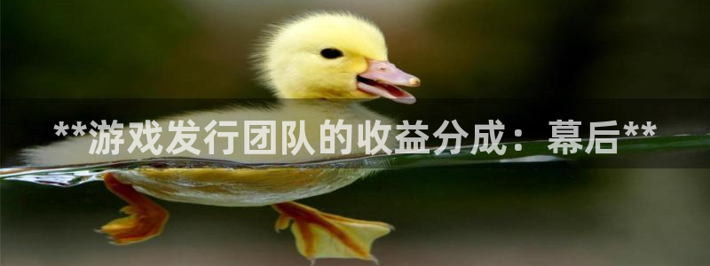 门徒娱乐注册登录地址在哪：**游戏发行团队的收益分成：幕后**
