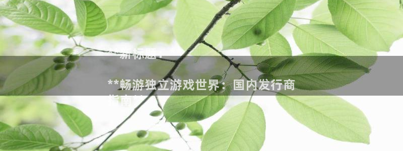 门徒娱乐怎么下载软件：**新标题：**

**畅游独立游戏世界：国内发行商
指南**