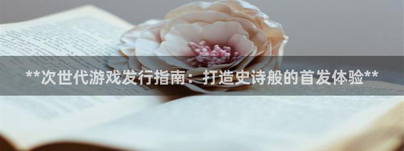 门徒娱乐注册登录地址是哪里：**次世代游戏发行指南：打造史诗般的首发体验**