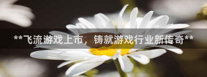 门徒娱乐是做什么的：**飞流游戏上市，铸就游戏行业新传奇**
