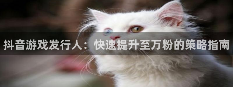 门徒娱乐选 3.7.oo.7.3.5：抖音游戏发行人：快速提升至万粉的策略指南