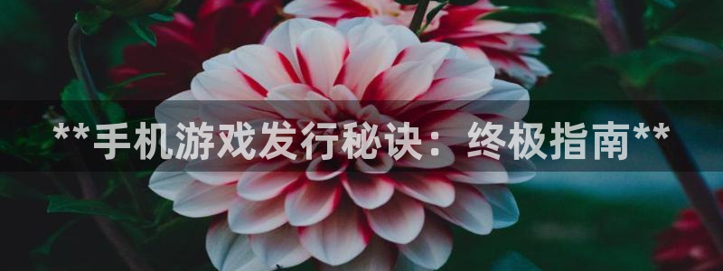 门徒娱乐平台登录入口：**手机游戏发行秘诀：终极指南**