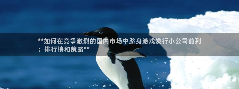 门徒平台测速登入：**如何在竞争激烈的国内市场中跻身游戏发行小公司前列
：排行榜和策略**