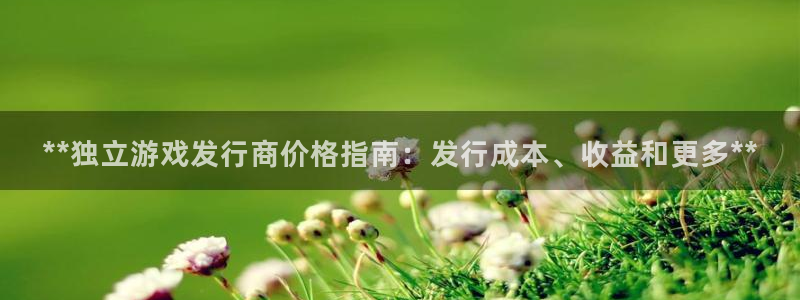 门徒娱乐会不会黑钱：**独立游戏发行商价格指南：发行成本、收益和更多**