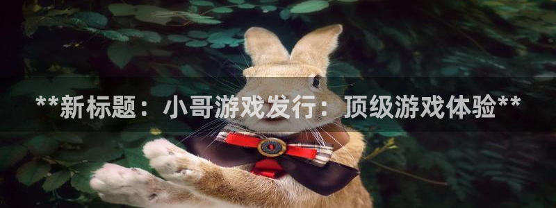 门徒平台测速网址大全：**新标题：小哥游戏发行：顶级游戏体验**