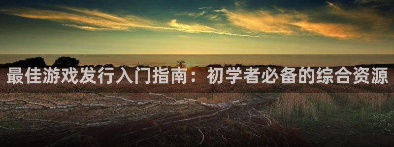 门徒平台寻 585341 门徒：最佳游戏发行入门指南：初学者必备的综合资源