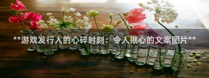 门徒娱乐登录地址在哪查询啊：**游戏发行人的心碎时刻：令人揪心的文案图片**