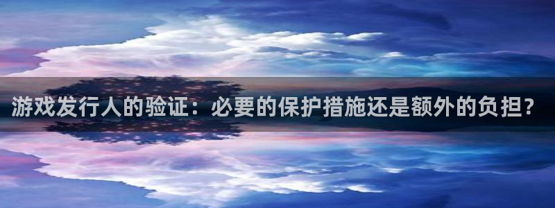 门徒娱乐平台注册登录：游戏发行人的验证：必要的保护措施还是额外的负担？