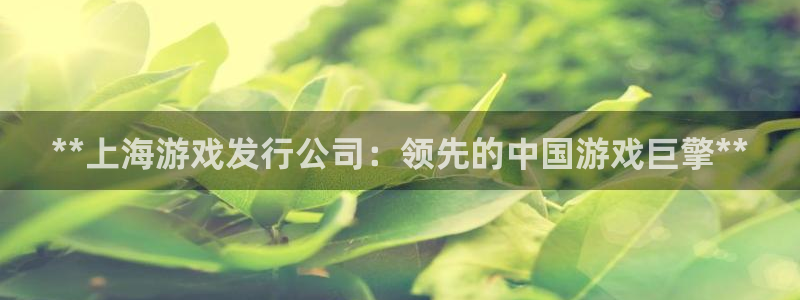 门徒平台例7O777：**上海游戏发行公司：领先的中国游戏巨擎**