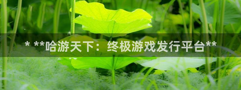 门徒平台线路检测中心