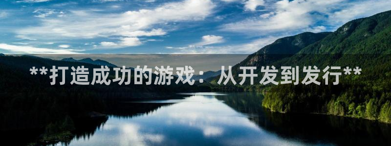 门徒平台着 58534I 平台：**打造成功的游戏：从开发到发行**