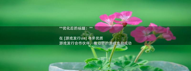 门徒娱乐是不是跑路了：**优化后的标题：**

在 [游戏发行ua] 寻求优质
游戏发行合作伙伴，推动您的游戏走向成功