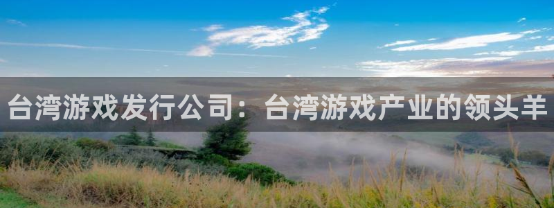 门徒平台注册中心：台湾游戏发行公司：台湾游戏产业的领头羊