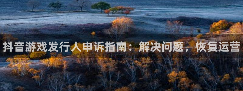 门徒平台使用技巧：抖音游戏发行人申诉指南：解决问题，恢复运营