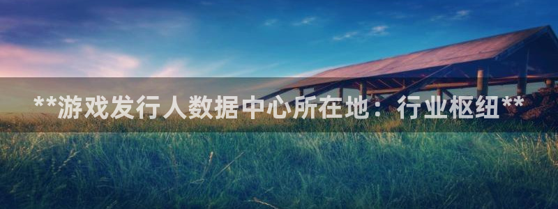 门徒平台家 5O6917 门徒：**游戏发行人数据中心所在地：行业枢纽**