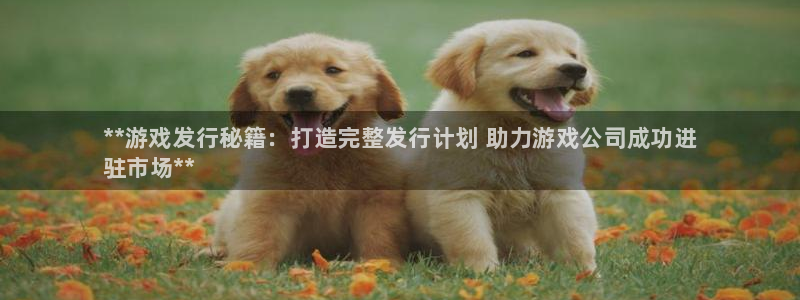 门徒平台开户流程图：**游戏发行秘籍：打造完整发行计划 助力游戏公司成功进
驻市场**