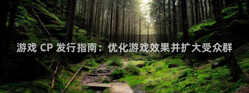 门徒平台注册登录站：游戏 CP 发行指南：优化游戏效果并扩大受众群