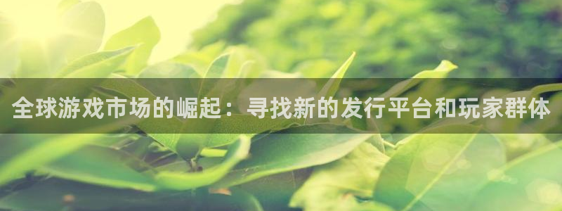 门徒平台注册中心电话：全球游戏市场的崛起：寻找新的发行平台和玩家群体