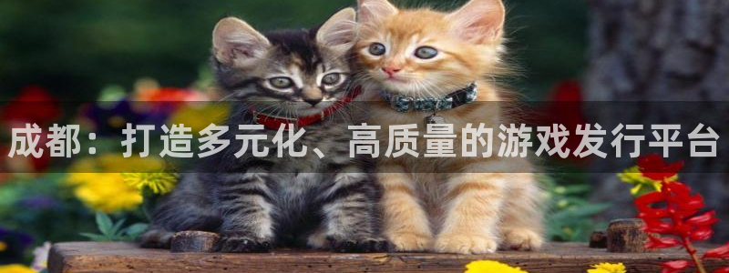 门徒平台说 5o69I7：成都：打造多元化、高质量的游戏发行平台