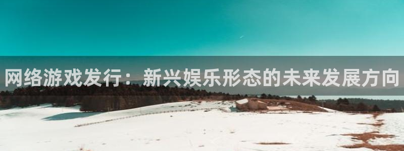 门徒娱乐多长时间了：网络游戏发行：新兴娱乐形态的未来发展方向