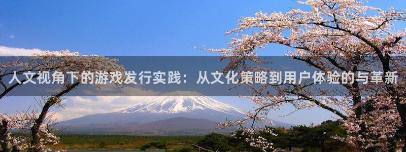 门徒娱乐会不会黑钱：人文视角下的游戏发行实践：从文化策略到用户体验的与革新