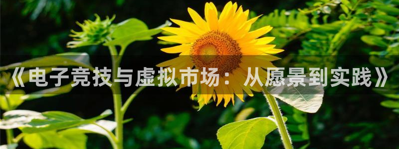 门徒平台开户怎么开的：《电子竞技与虚拟市场：从愿景到实践》