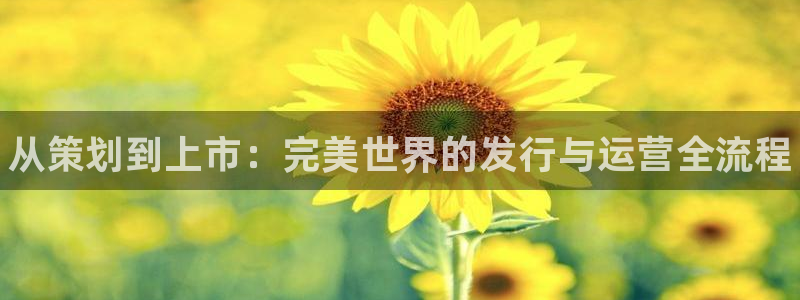 门徒娱乐联盟官网：从策划到上市：完美世界的发行与运营全流程
