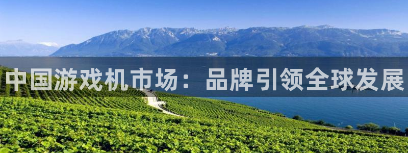 门徒娱乐注册官网入口