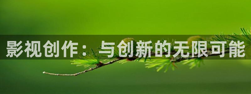 山外人精品影院 6 在线观看：影视创作：与创新的无限可能