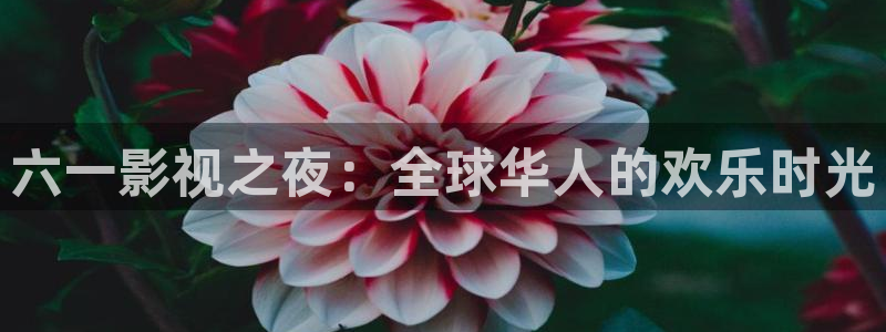 山外人精品影院 6 在线观看：六一影视之夜：全球华人的欢乐时光