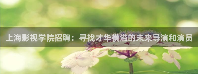 山外人精品影院：上海影视学院招聘：寻找才华横溢的未来导演和演员