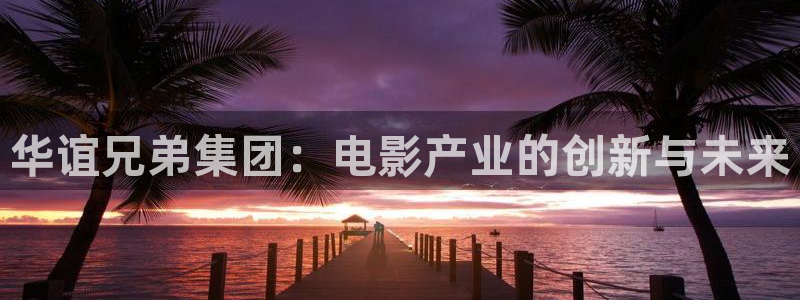 山外人精品影院 6 在线观看：华谊兄弟集团：电影产业的创新与未来