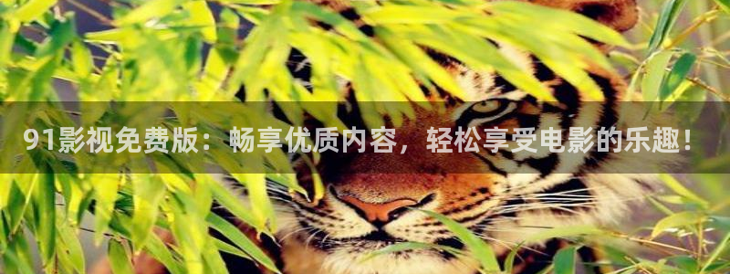 山外人精品影院洋洋av：91影视免费版：畅享优质内容，轻松享受电影的乐趣！