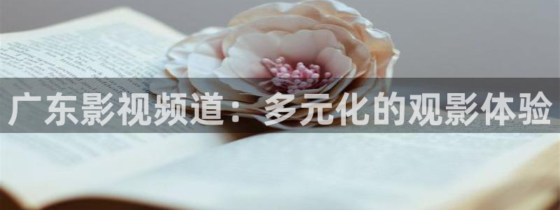 山外人精品影院：广东影视频道：多元化的观影体验
