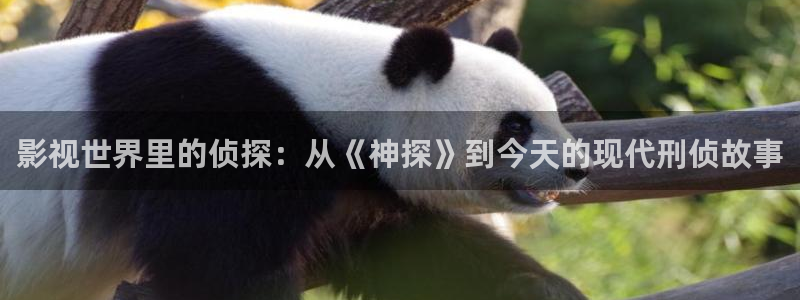山外人精品影院在线观看：影视世界里的侦探：从《神探》到今天的现代刑侦故事