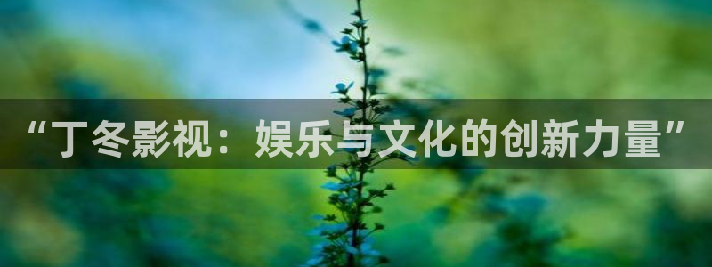 山外人精品影院 6 在线观看：“丁冬影视：娱乐与文化的创新力量”